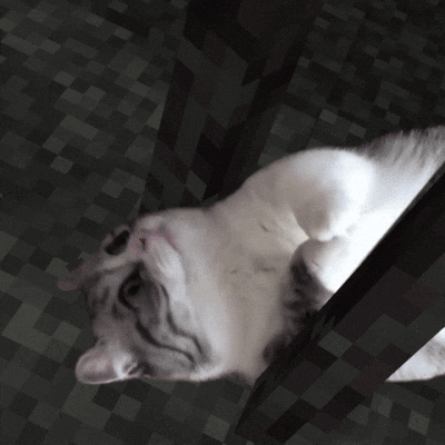 Komaru GIF