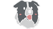 Dog Running Sticker by LeapEarsFurnature