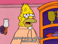 homer simpson GIF