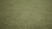 awkward oops GIF by Davidson College