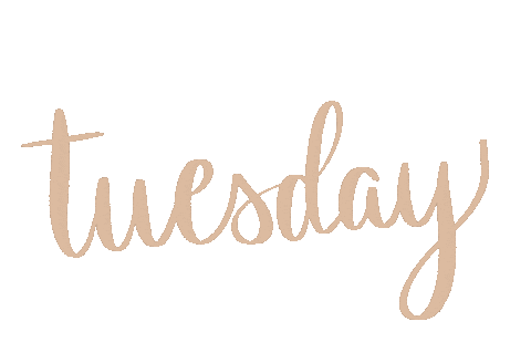 Designedtoloveco giphyupload tuesday boho brown Sticker