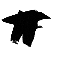 TopFashionTF fashion shoes nike jordan Sticker