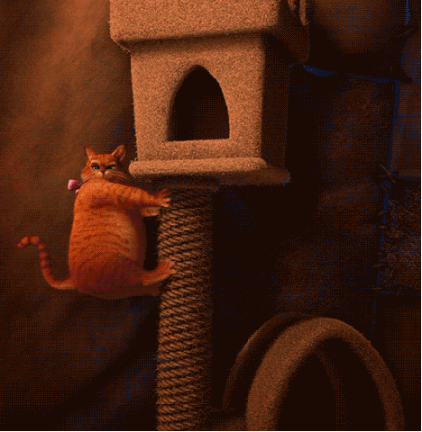 cat fall GIF