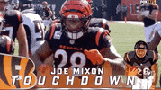 Cincinnati Bengals Football GIF by NFL