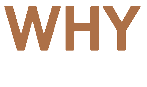 heywanderdesignco giphyupload why findyourwhy wander design co Sticker
