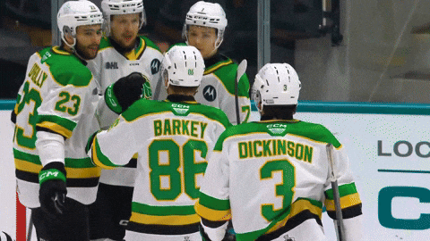Hockey Lk GIF by London Knights