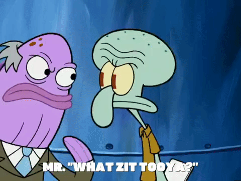 season 5 GIF by SpongeBob SquarePants