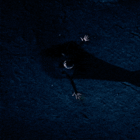 Lockeandkey GIF by NETFLIX