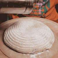 sourdoughdisco disco sourdough GIF