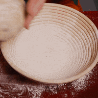 sourdoughdisco disco sourdough GIF