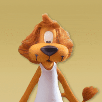 loekideleeuw lion leeuw loeki loekideleeuw GIF