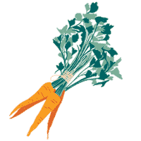 Vegetables Carrot Sticker