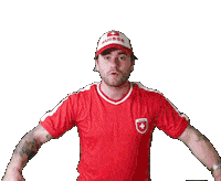 suisse nati Sticker by Baschi