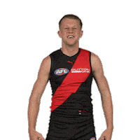 Clarke Dons Sticker by Essendon FC