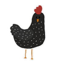 Dancingchicken Sticker by ayoungdesign