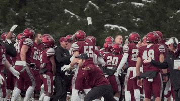 Lets Go Football GIF by Colgate Athletics