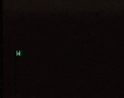 fuzzyghost retro 80s vhs big brother GIF