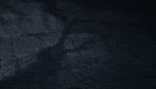 Co-Op Magic GIF