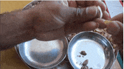 shell using GIF
