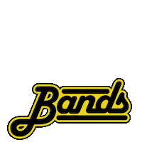 bandsberlin bandsberlin bandsinberlin bringbackmusictoyourlife weplaycovers Sticker