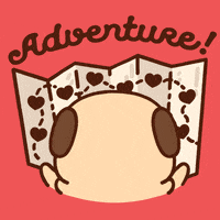 GIF by Puglie Pug