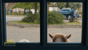 Lamb Shepherd GIF by The Sheep Detectives