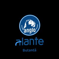 Anglo Alante GIF by Conectar Educadores