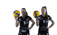 Sport Volleyball Sticker by LP Viesti