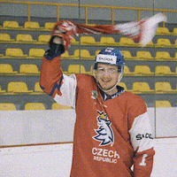 SKODACZ fun car hockey win GIF