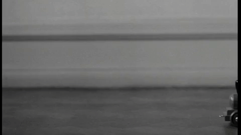 sweden bowiderberg GIF