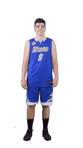 Basketball Tigers Sticker by ACSL - Austrian College Sports League