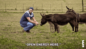Jay Cutler Energy GIF by E!