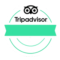yeitours travel mexico turismo viajes Sticker