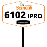 Semeali Sticker by semealisementes