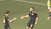 South Carolina Soccer GIF by Charleston Battery