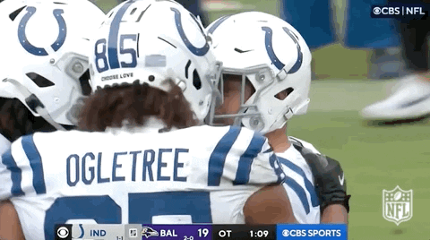 National Football League GIF by NFL