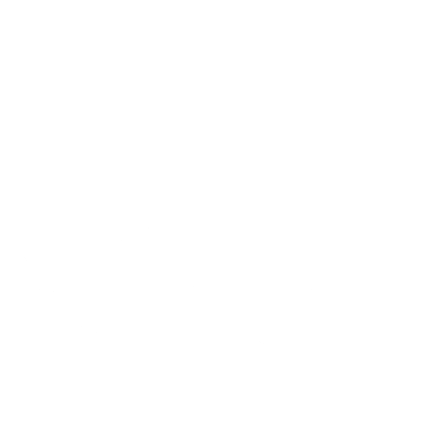 Ocean Whale Sticker by Visit Sunshine Coast