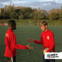 Soccer Hello GIF by SWR Kindernetz