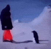 Snow Penguin GIF