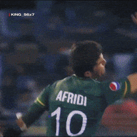 Lahore Qalandars Eagle GIF