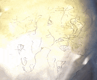 Enable United GIF by Alex Boya