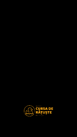 cursaderatustebuc giphygifmaker yellow duck ducks GIF