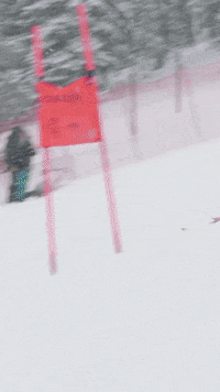 Team Usa GIF by U.S. Ski & Snowboard Team
