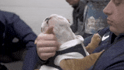 Puppy Love Dog GIF by Butler University