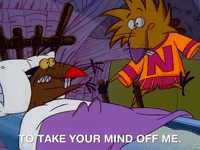 nickrewind nicksplat angry beavers GIF