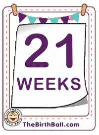 Mom Life Expecting Sticker by The Birth Ball