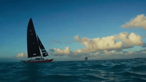 Surfing Hawaii GIF by 50statesproject