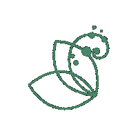 Stars Vida Sticker by Pleia Life