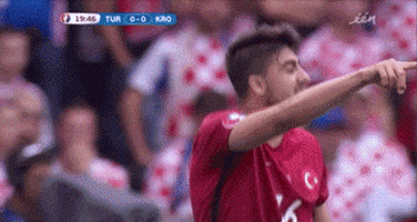 euro 2016 GIF by Sporza