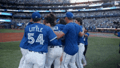 Jumping Around Blue Jays GIF by Toronto Blue Jays
